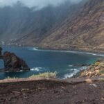 L'île d'El Hierro Reforesta avec des espèces telles que «Nogales» ou «Higueras»