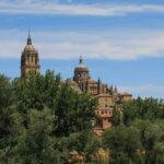 La Biodiversity Foundation s'est engagée à la renaturalisation des villes: elle stimulera 12 projets avec 39 millions d'euros