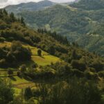 La Fédération espagnole des municipalités et des provinces nécessite plus de prévention, de montagnes propres et de réglementation flexible contre les incendies de forêt
