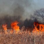 Le «feu de la forêt» de Carballeda de Valdeorras (Orosense) est stabilisé par stabiliser