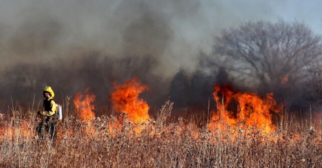 estabilizado incendio forestal Carballeda Valdeorras Ourense