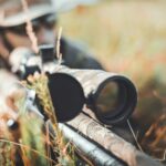 Plus de 170 scientifiques sont plantés face à la «désinformation» de la chasse