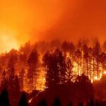 UE: C'est «manifestement amélioré» la prévention des incendies de forêt cet été