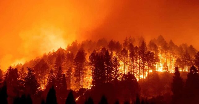 UE manifiestamente mejorable prevención incendios forestales verano