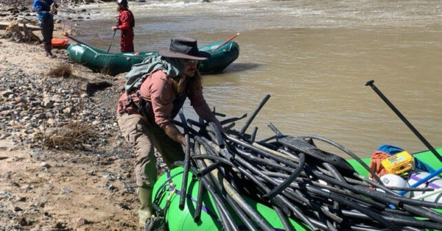 Photo de Daniel Walton