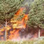 Un feu de forêt en castromil (Zamora)