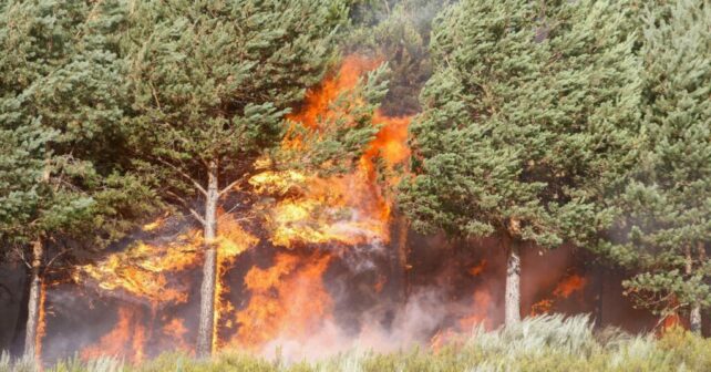 incendio forestal Castromil Zamora