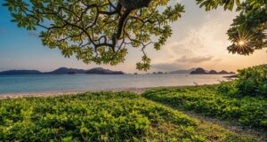 Les trésors de la biodiversité menacés par l’homme : comprendre et agir