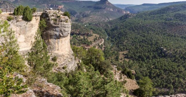 25 años ecoturismo Parque Natural Alto Tajo