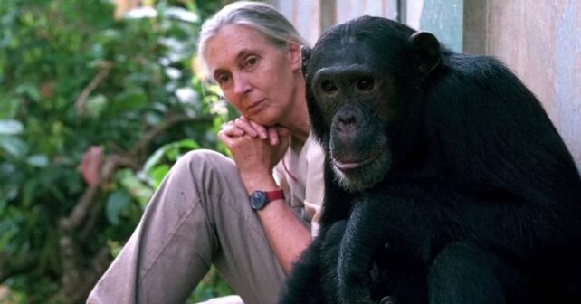 Jane Goodall etóloga, conservacionista activista Mensajera Paz ONU fallece