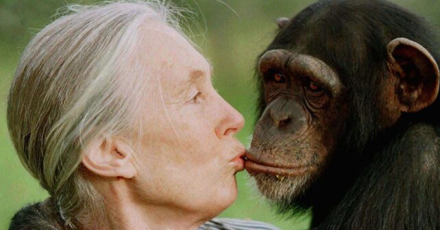 Jane Goodall muere 91 años