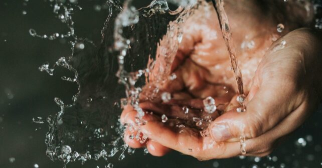 Día Interamericano Agua 2025