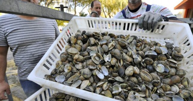 contaminación ría Ferrol mariscadores Juzgados Ayuntamiento Neda A Coruña