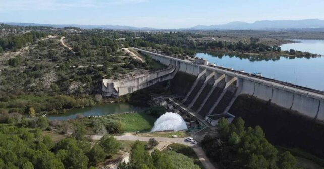 CHJ inicia retirada selectiva peces mayoría especies invasoras embalse Bellús mejorar calidad agua