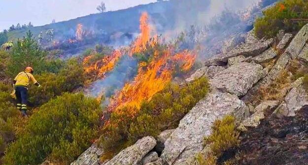 incendio forestal Pico Lobo controlado