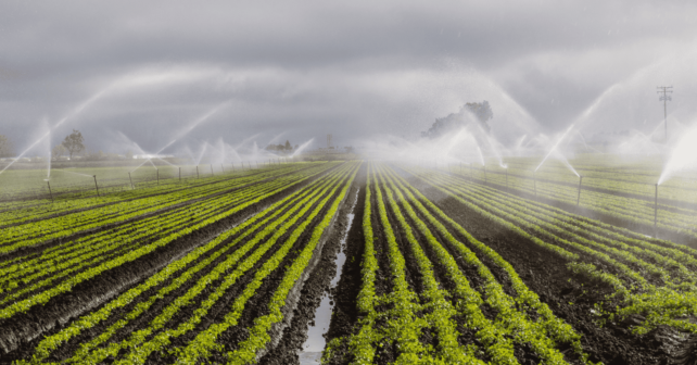 Regadíos modernos en Castilla-La Mancha