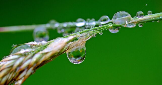 ecologistas defienden la Directiva Marco del Agua