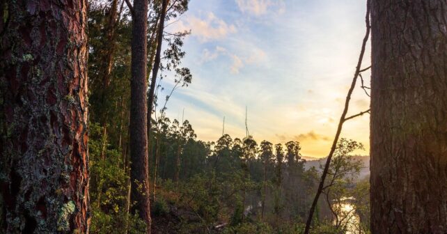 Día Internacional Reservas Biosfera 2025