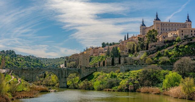 Técnicos y voluntarios trabajan en la restauración de un bosque de ribera del Tajo, retirando estructuras fluviales y plantando especies autóctonas de alisos en el marco del proyecto LIFE Alnus Taejo
