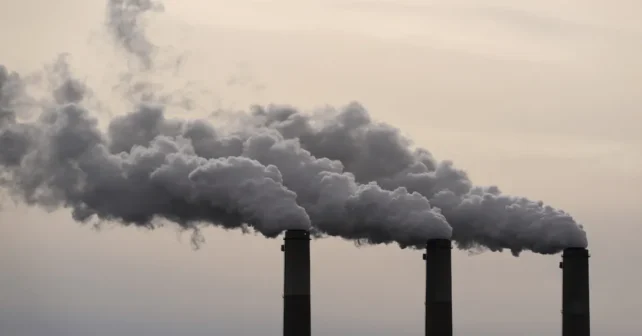 Photo de Charlie Riedel/AP