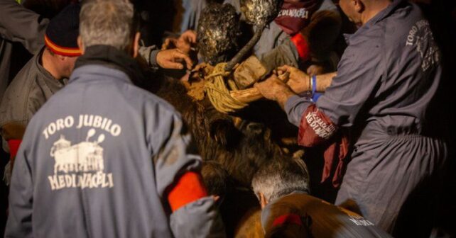 Activistas de PACMA protestan en Medinaceli contra el Toro Jubilo, denunciando maltrato animal extremo y pidiendo el fin de esta tradición