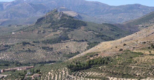 reconecta modelo gestion forestal sostenible colaborativa fundacion biodiversidad