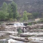 Rivière Alhama : trop de seuils et présence d’espèces exotiques envahissantes