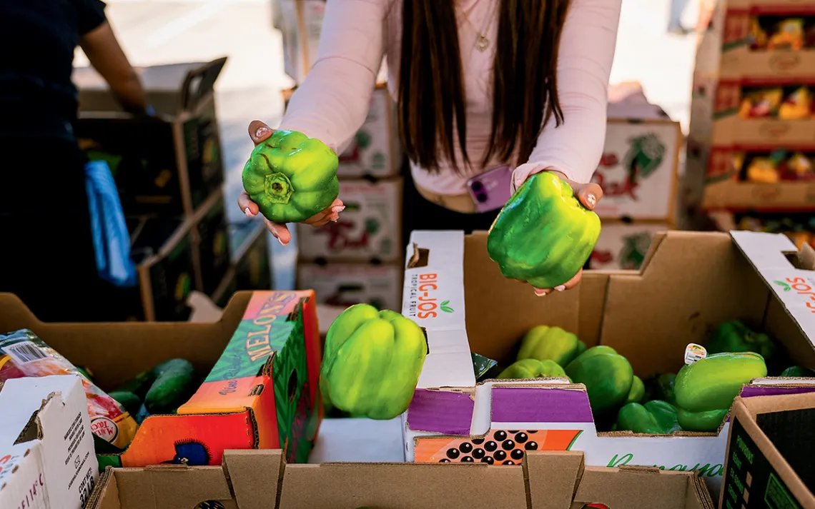 Une femme aux longs cheveux bruns est entourée de cartons de produits et tend des poivrons.