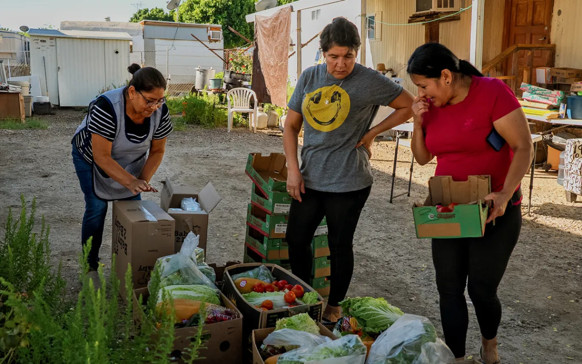 Casimira Tranquilina, Rosalba Ortiz et Marisela Monetor ramassent des légumes et des fruits dans des cartons devant certaines remorques.