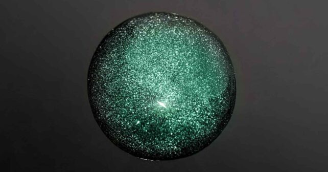 À 4 000 mètres sous le niveau de la mer, des scientifiques ont découvert un spectaculaire « oxygène sombre »