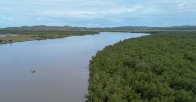 Humedal con manglares y río en una zona natural protegida apoyada por la ONU