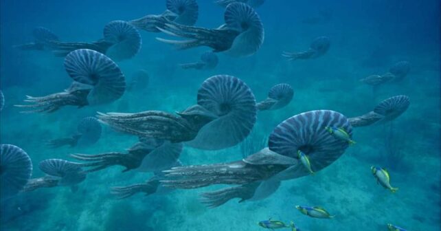 Representación científica de los mares homogéneos después de la mayor extinción del planeta