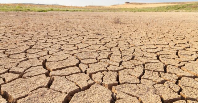 Paisaje seco en Mallorca con campos agrietados por la desertificación