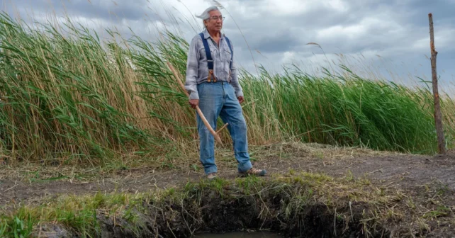 Jim Enote porte un jean et des bretelles et se tient au sommet d'une source entourée d'herbes hautes. Il tient un long instrument en bois.