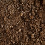 Journée mondiale des sols 2025 : la ressource dont tout dépend et que nous perdons