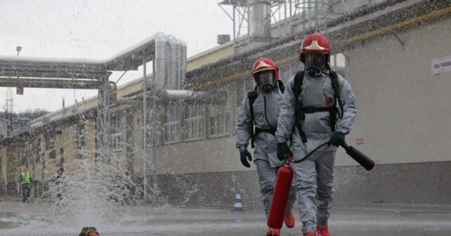 Europa y el nuevo convenio penal para proteger el medioambiente