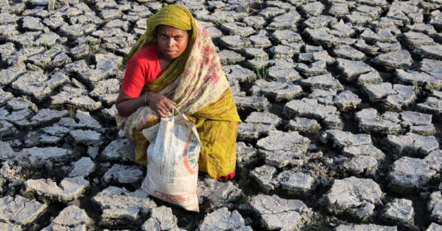 El PNUMA premia a cinco líderes globales como Campeones de la Tierra 2025