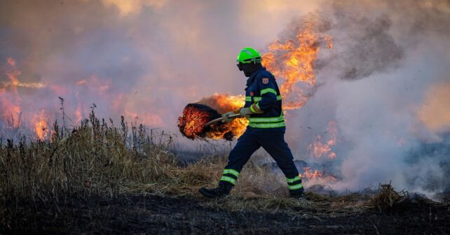 Incendio forestal en España y pacto climático de Estado contra los incendios forestales