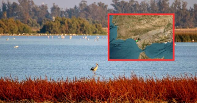 Marisma de Doñana con aves acuáticas y mapa de ubicación del parque natural