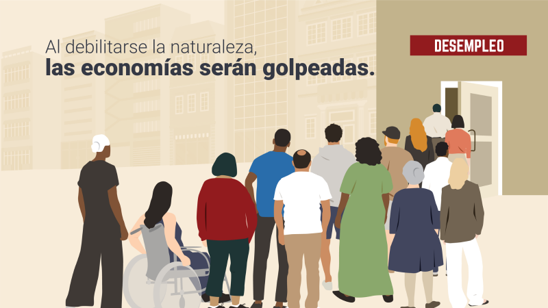 À mesure que la nature s’affaiblit, les économies seront touchées.