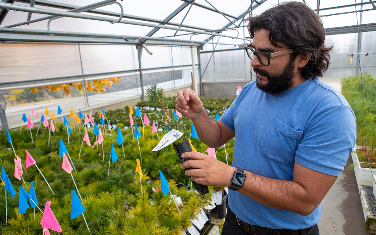 Photo gracieuseté de Zack Metcalfe