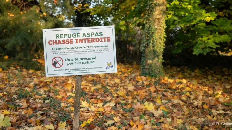 Un panneau d'interdiction de chasse dans un terrain qui adhère à la charte de l'Aspas ou de la LPO comme à Caussols — © Association ASPAS