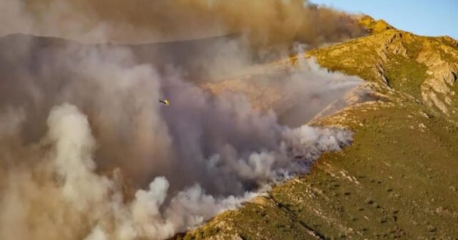 Incendios forestales en España con miles de hectáreas quemadas