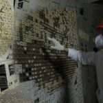 Des scientifiques découvrent une vie à Tchernobyl qui a muté pour survivre grâce aux radiations