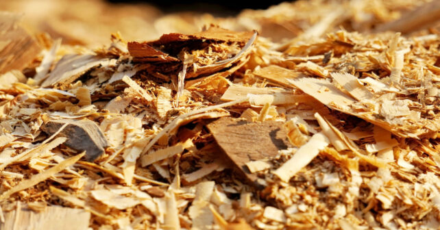 Esquema nacional de sostenibilidad de la biomasa sólida aplicado a biogás y biocombustibles