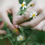 L'Herbier Virtuel de la Méditerranée occidentale fête ses 25 ans comme référence botanique