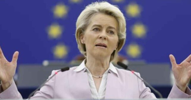 Dirigente de la UE ante la bandera europea, en una comparecencia sobre nuevas normas para perros y gatos