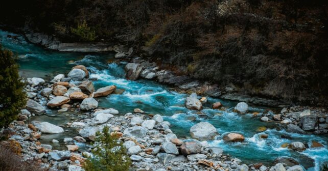 recuperación ecológica de ríos en Portugal en entorno urbano