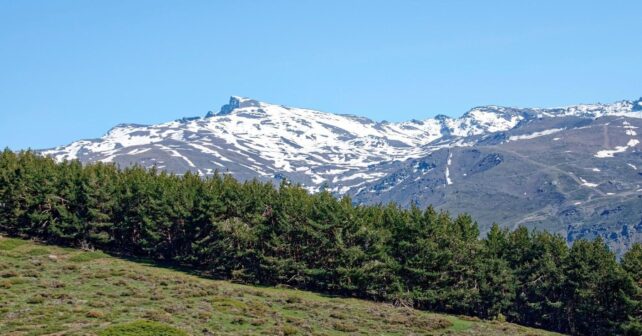 Revisión de los planes de Sierra Nevada en parque natural