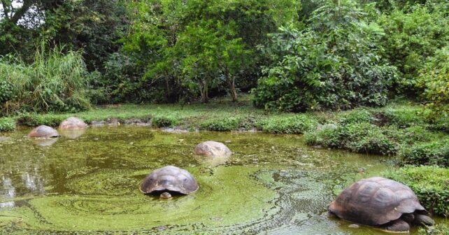 Photo de Brandon Withrow